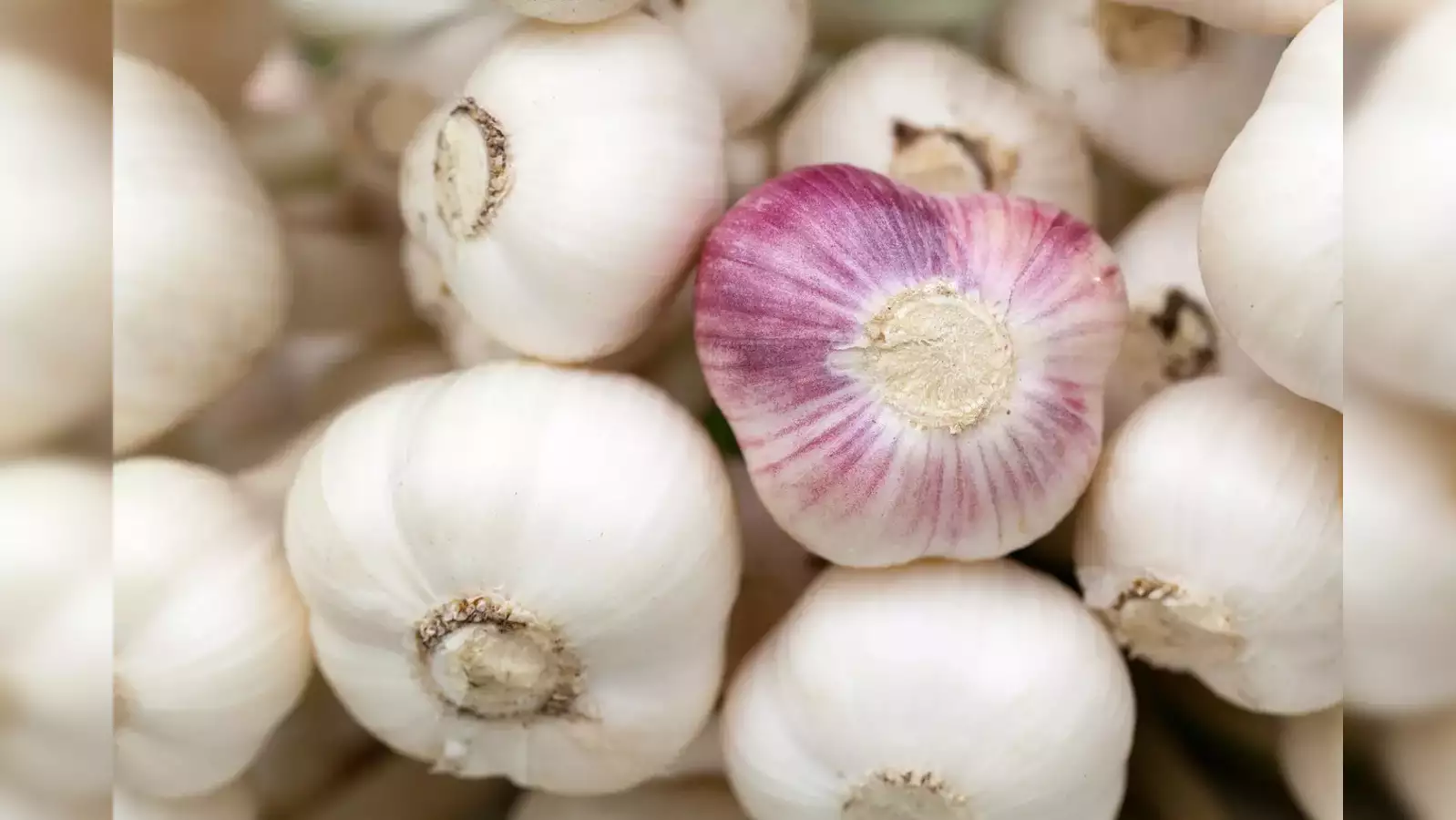 سیر برای مشکل کبد چرب