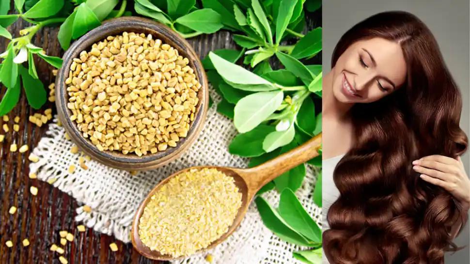 فوایدی که تخم شنبلیله برای مو دارد