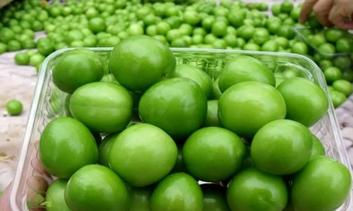 مضرات گوجه سبز برای زنان